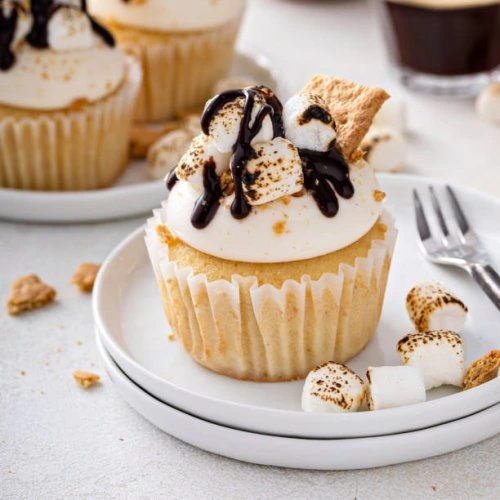 S'mores Cupcakes