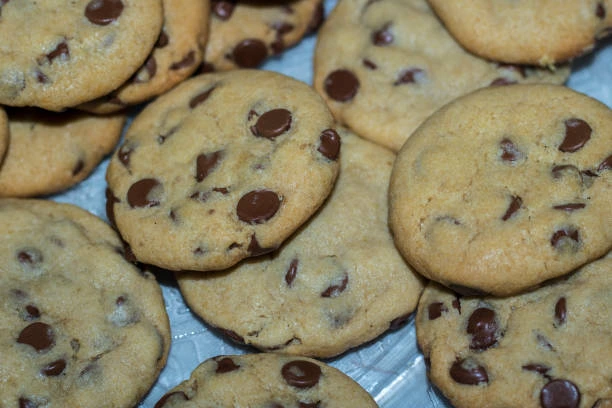 chocolate chip cookie